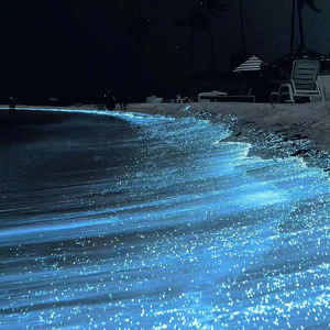 花容失色取花点下拉式漫画免费观看
